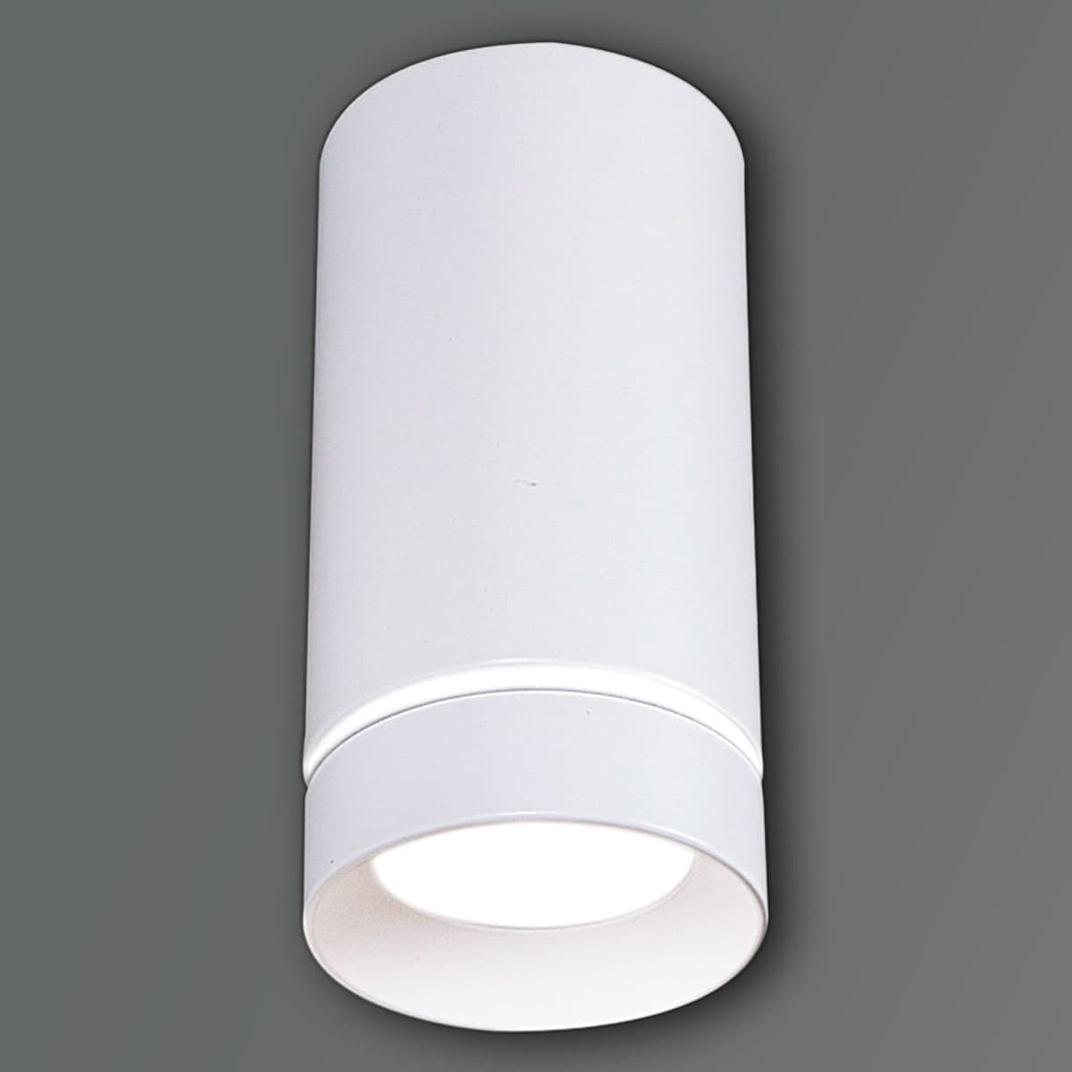 Светильник точечный накладной Reluce 81482-9.5-001RT LED5W WT