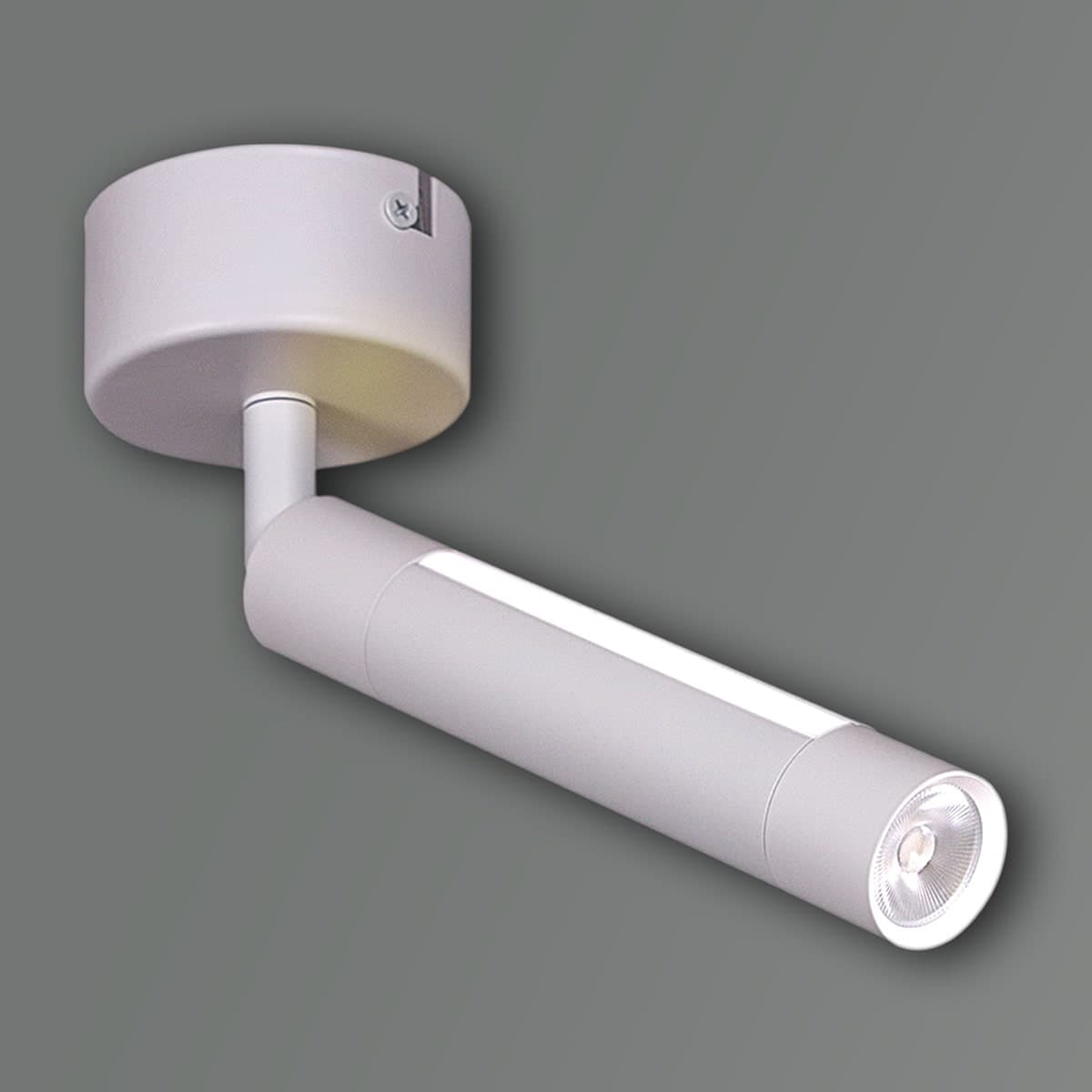 Светильник точечный поворотный Reluce 84603-9.5-001RT LED5W*2W WT