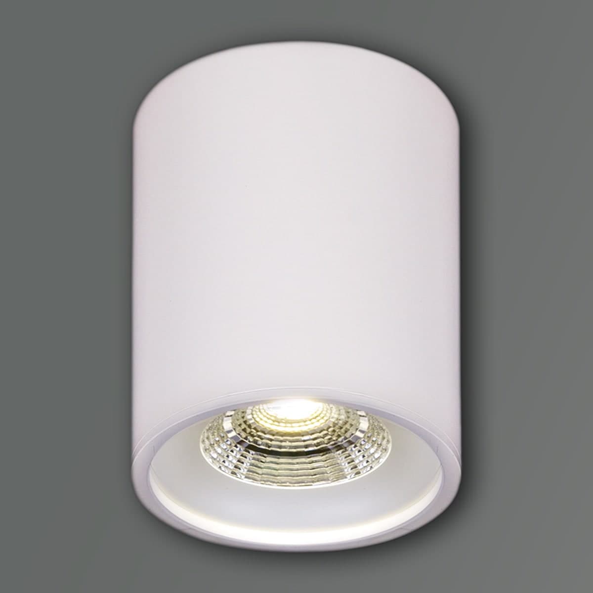 Светильник точечный накладной Reluce 81117-9.5-001RT LED10W WT