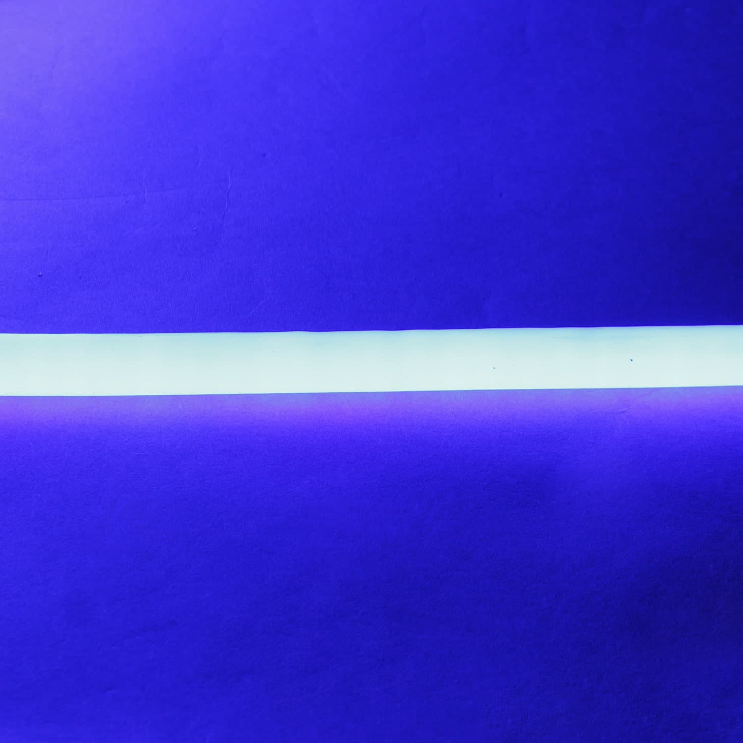 Гибкий свет Sneha A-523 BL D14мм, 120LED/1м, 220V 50м