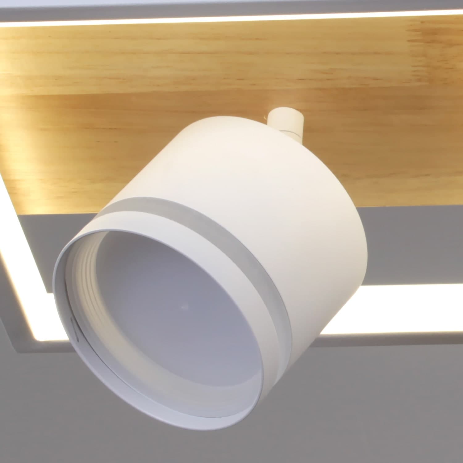 Светильник потолочный Reluce 19560-0.3-2+2 WH+WOOD