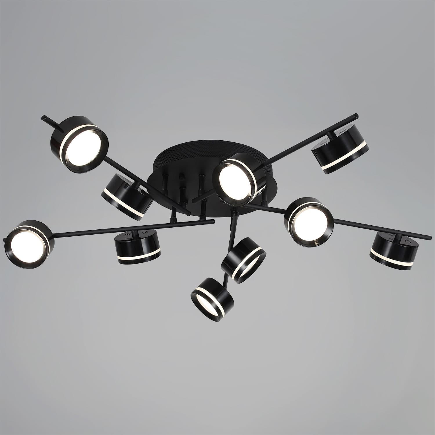 Светильник потолочный Reluce 10590-0.3-10 Black