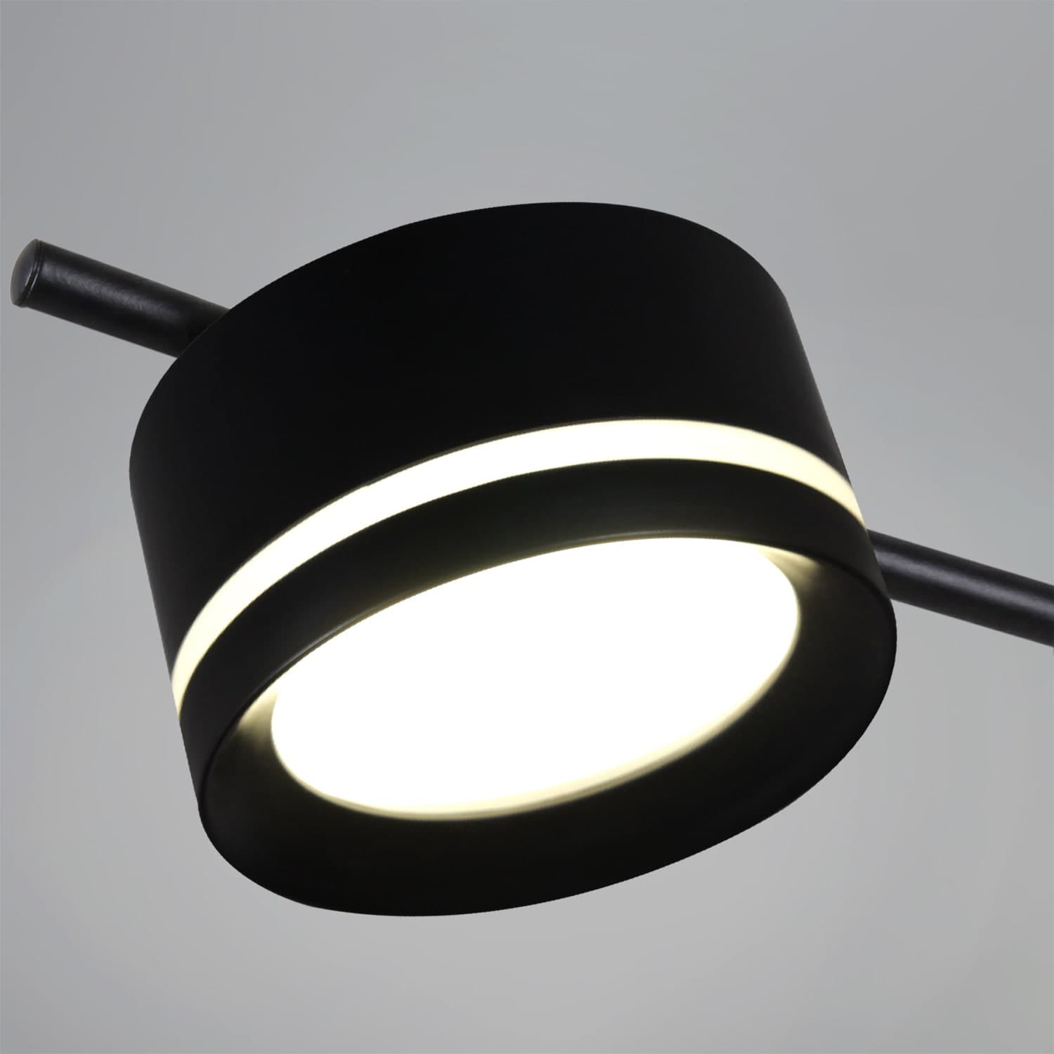 Светильник потолочный Reluce 10590-0.3-10 Black