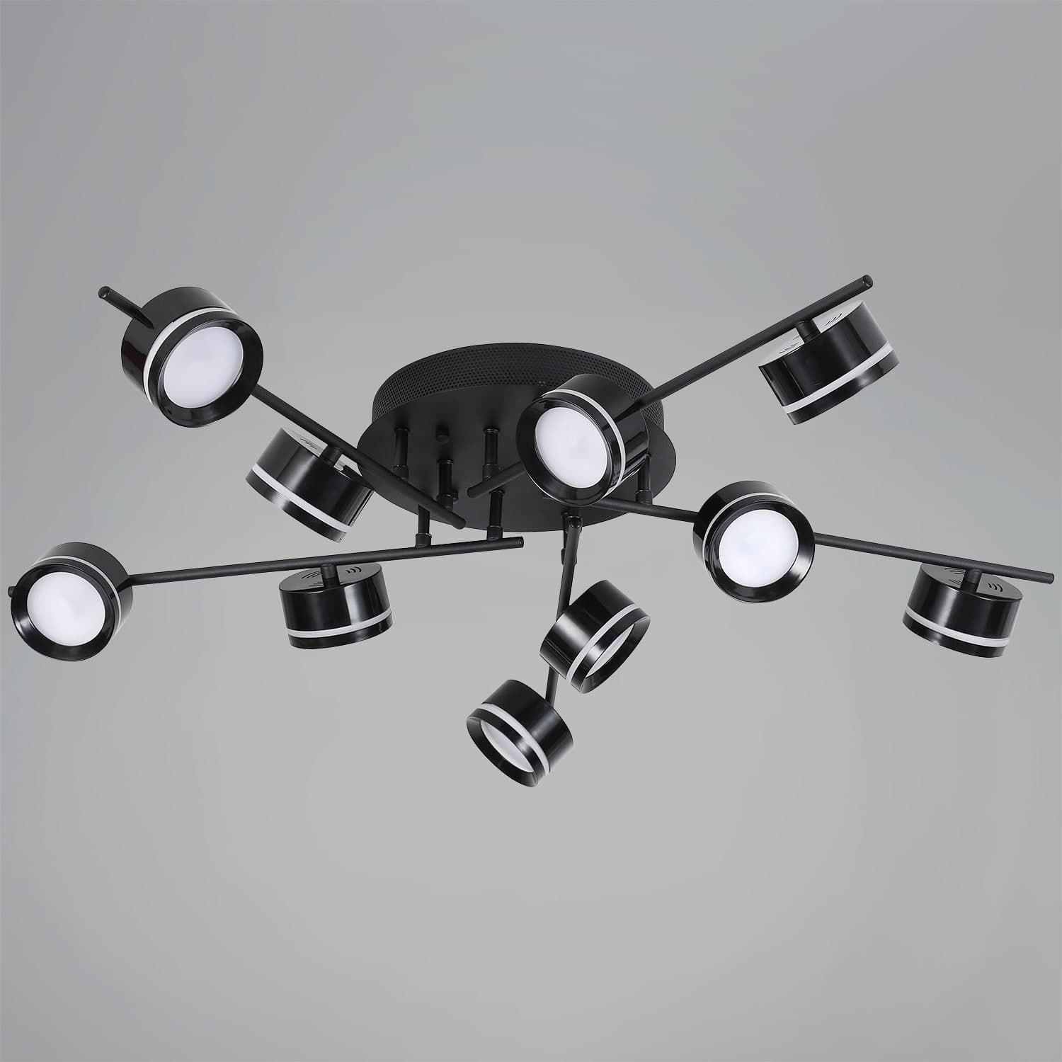 Светильник потолочный Reluce 10590-0.3-10 Black