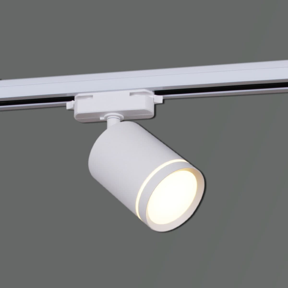 Светильник трековый Reluce 06210-9.3-001RN MR16 WT